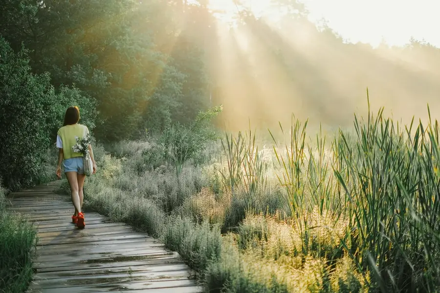 Woman walking along a peaceful wooden path through nature in morning sunlight