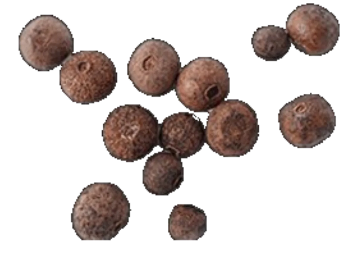 Black pepper BioPerine extract used to enhance absorption in Joint Genesis