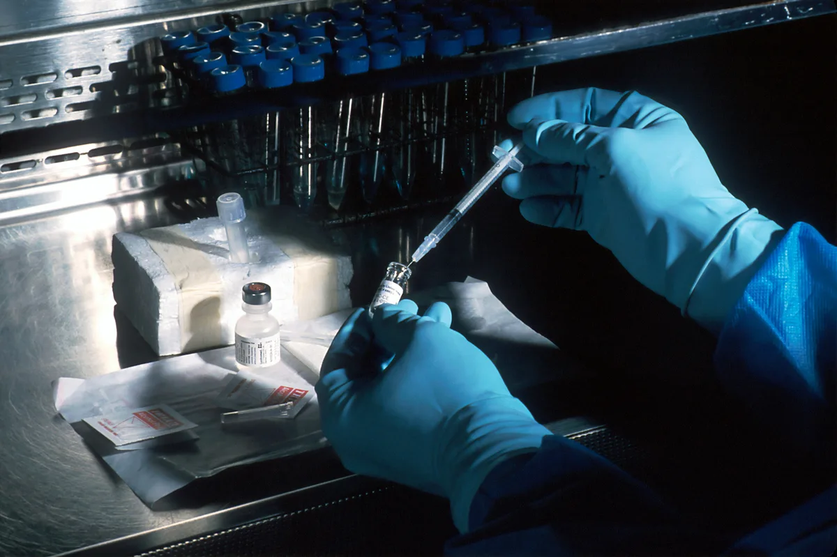 Understanding Your Lab Tests: What Your Blood Work Is Actually Telling You