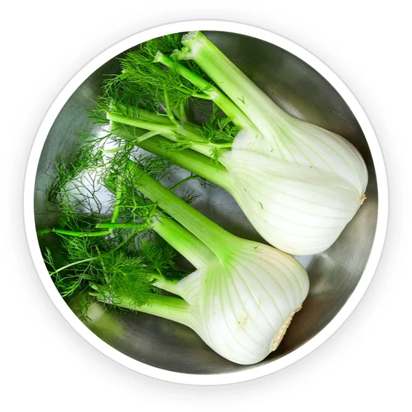 Fennel bulbs