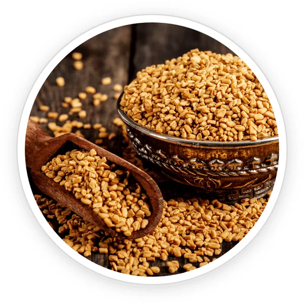 Fenugreek seeds in a bowl