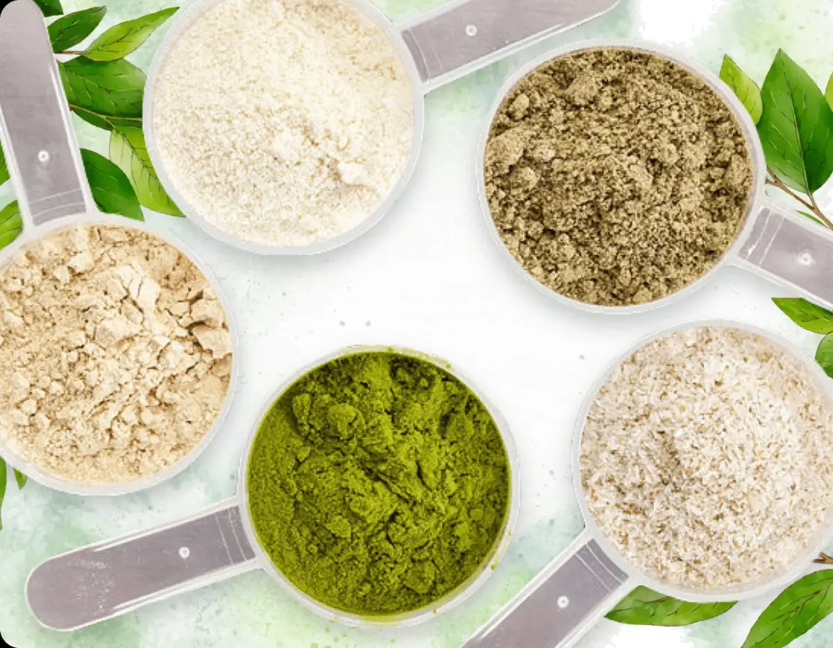 Various probiotic and botanical ingredient powders in measuring scoops