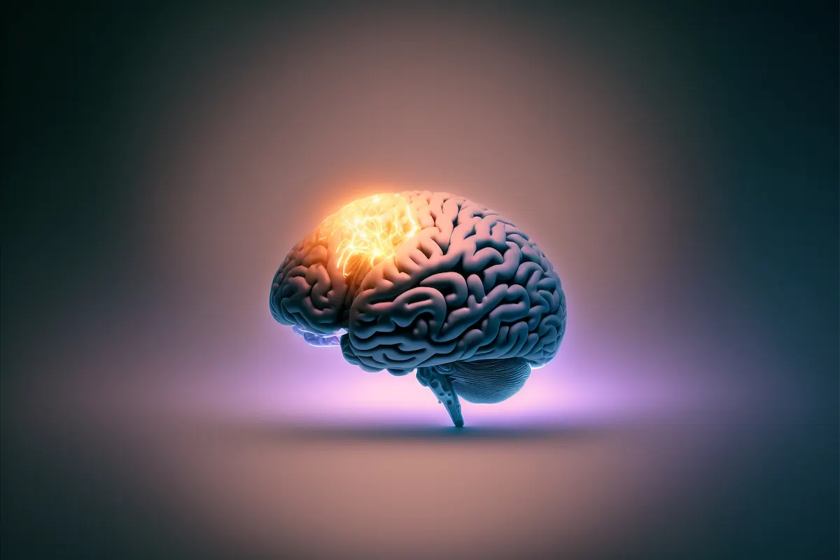 Illuminated human brain illustration representing the glymphatic system active during sleep